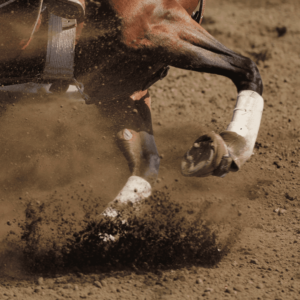 Letselschade door een paard